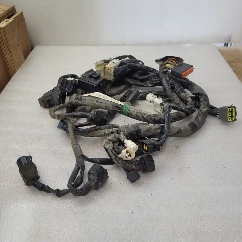 Wire Harness Assy Expédition Rapide